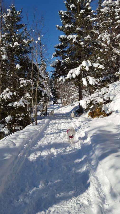 Leilighet I Amotsdal エクステリア 写真