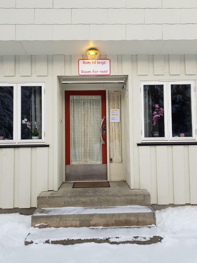 Leilighet I Amotsdal エクステリア 写真