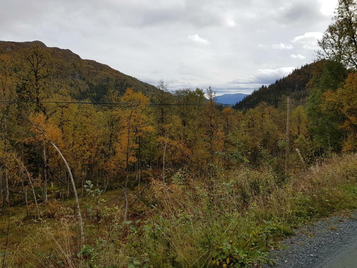 Leilighet I Amotsdal エクステリア 写真